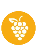 Icône Raisin