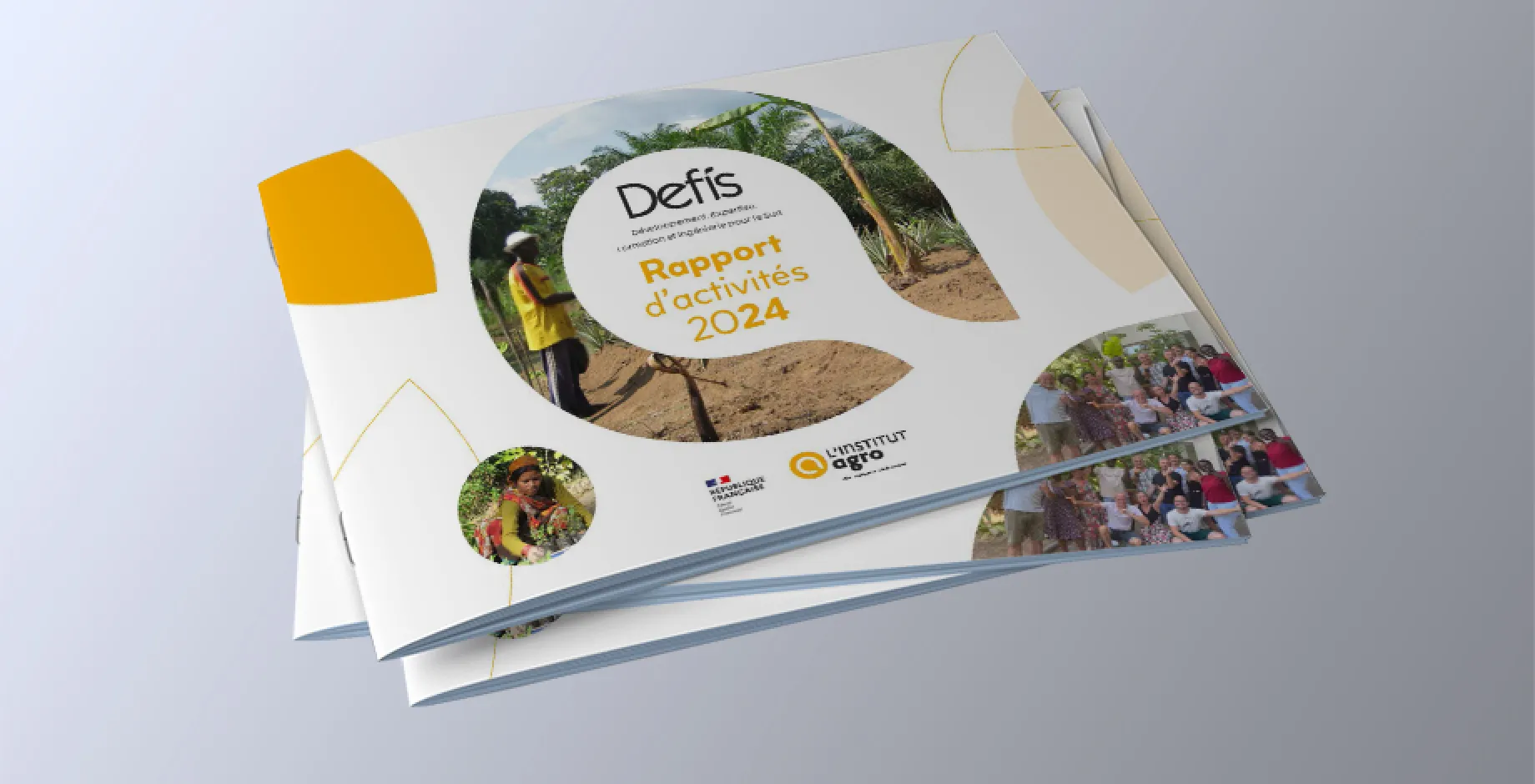 raport d'activités 2024 - défis