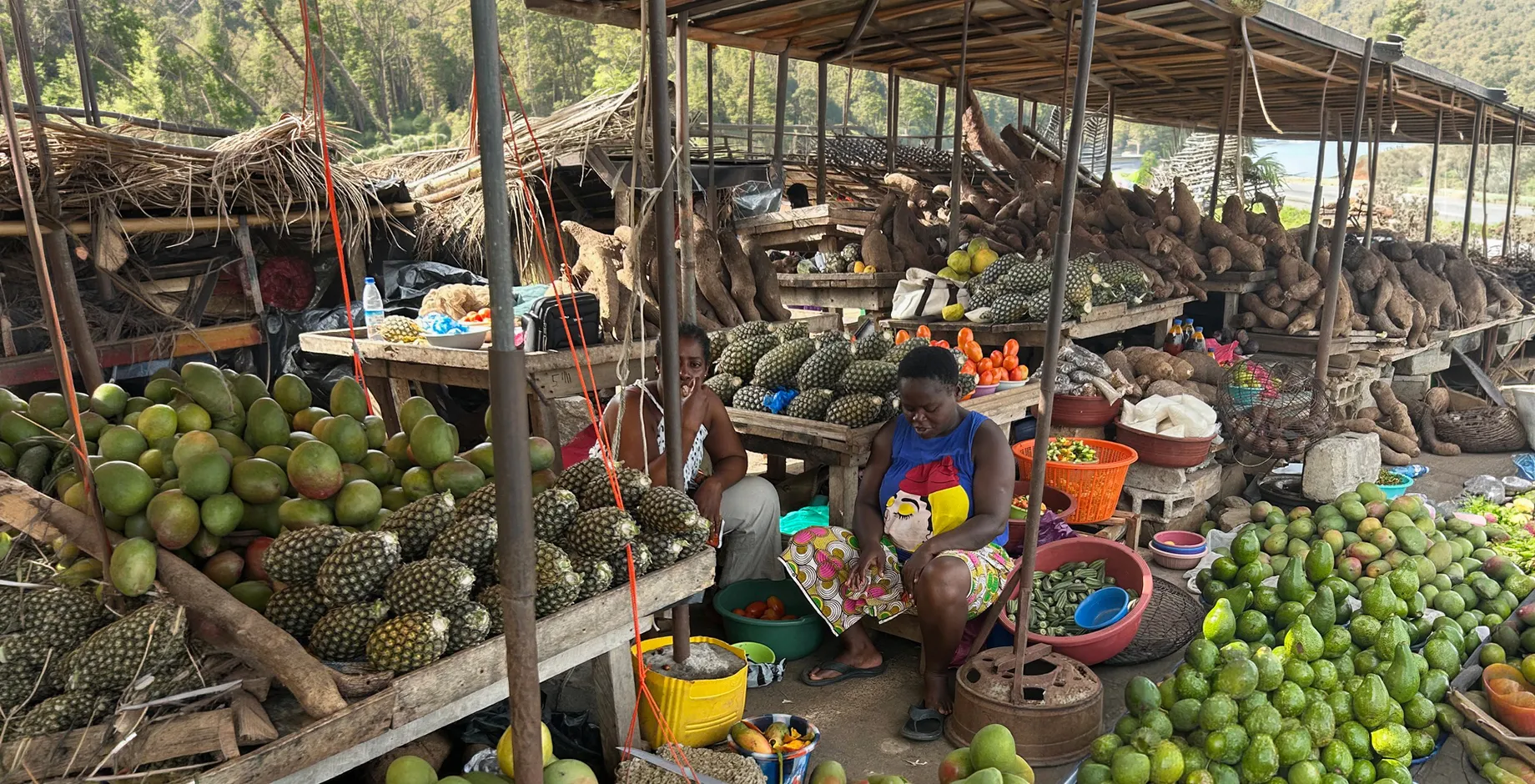 Vendeuses de fruits et légumes (Yamoussoukro)