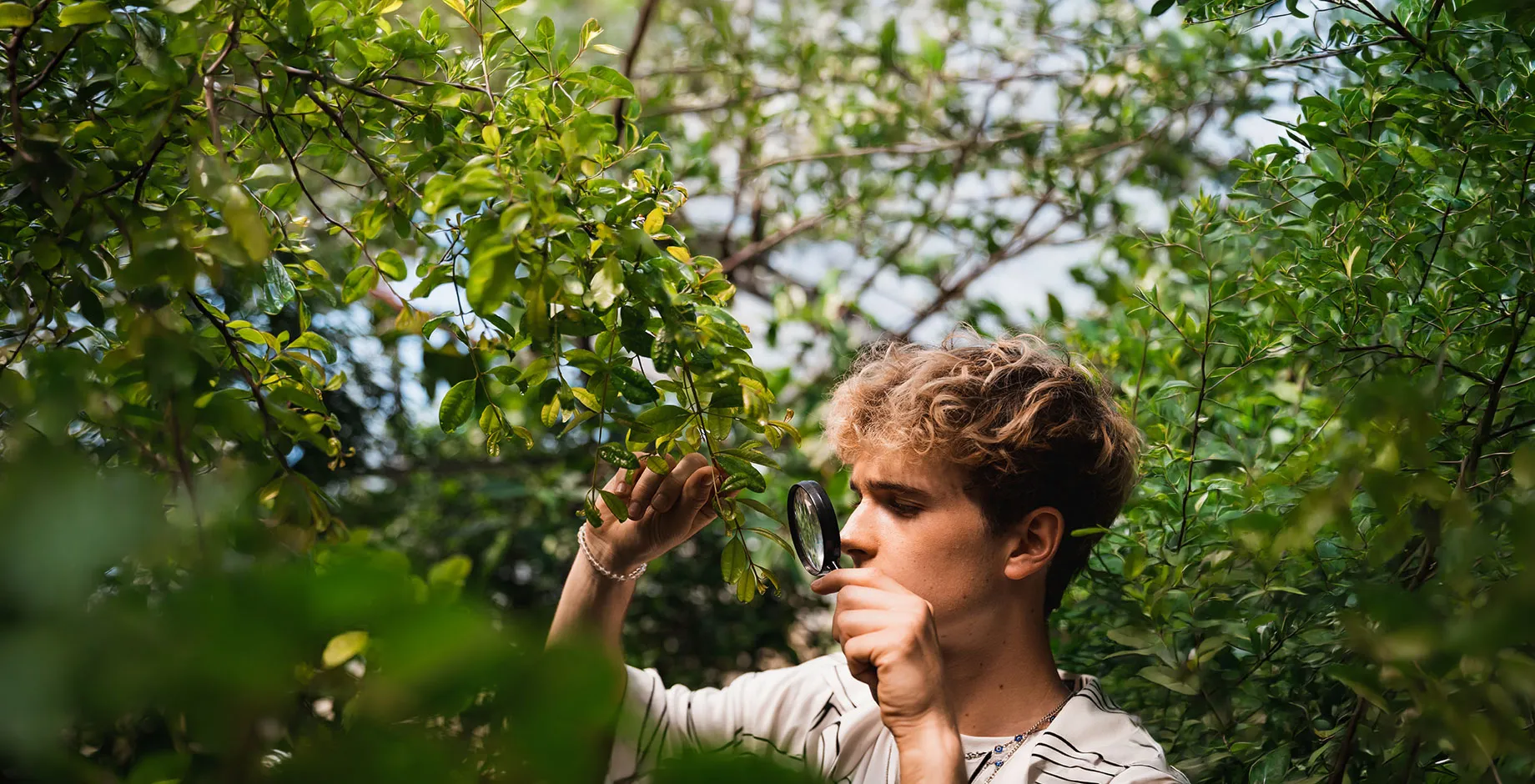 Jeune étudiant analysant le phénotype d'une plante