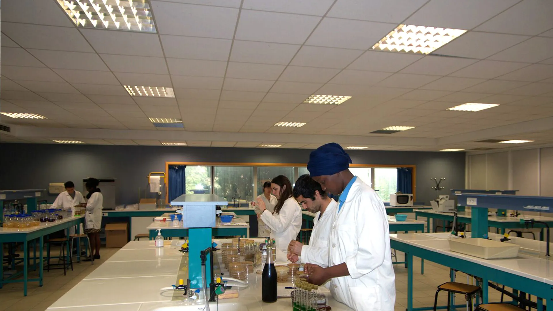 Industries Agro-Alimentaires au Sud