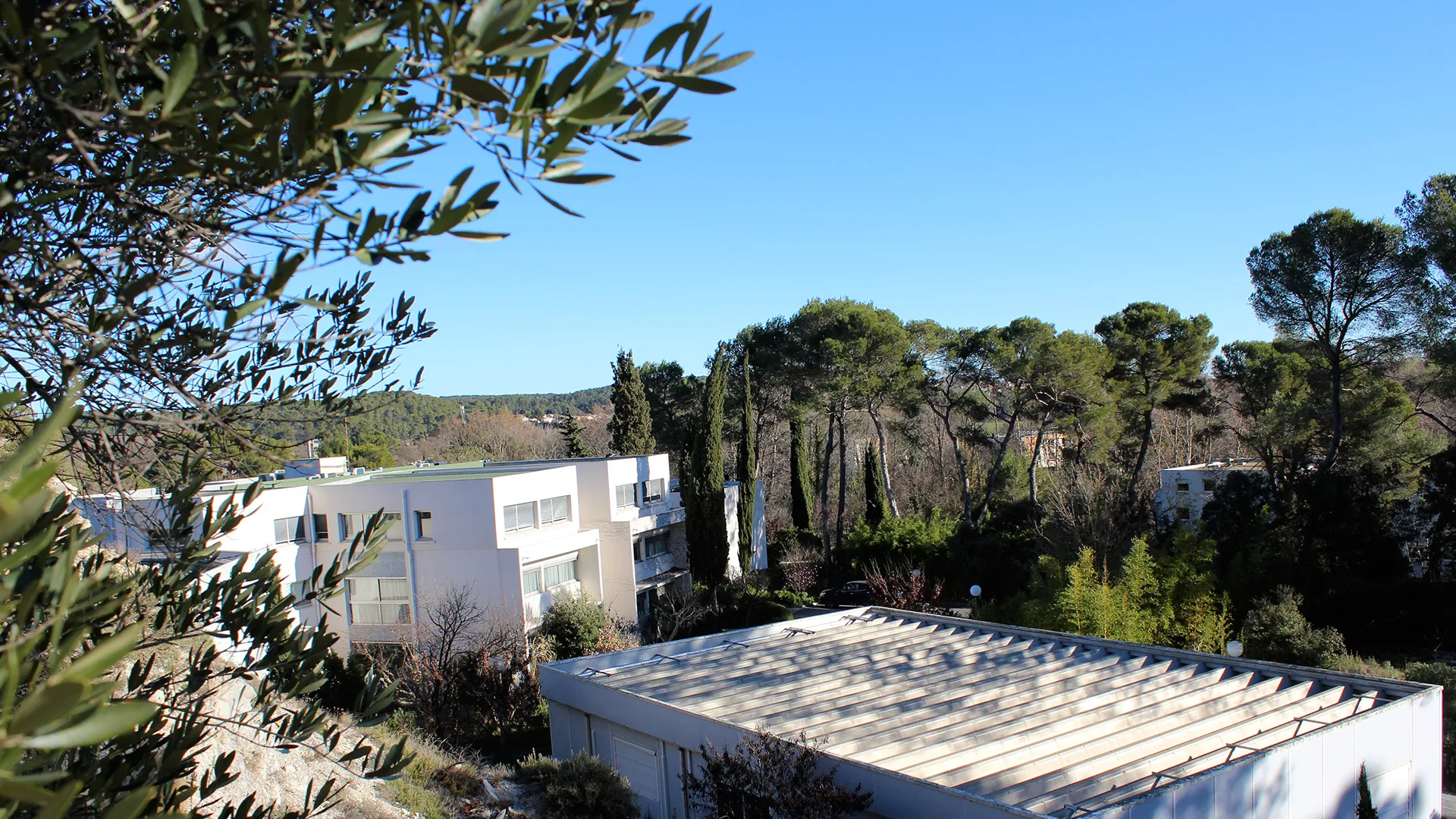 Campus de Lavalette vue depuis l'institut des régions chaudes