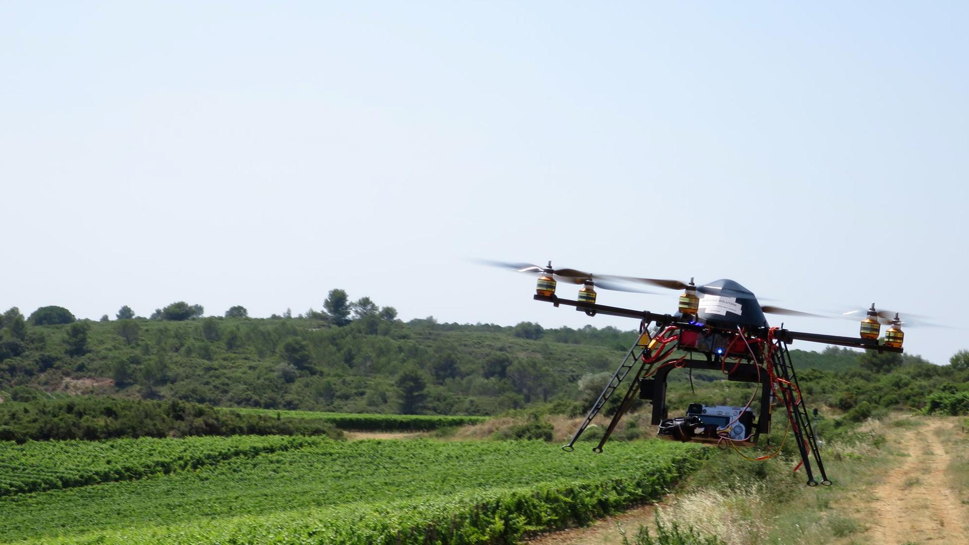 Drone sur champs de vigne