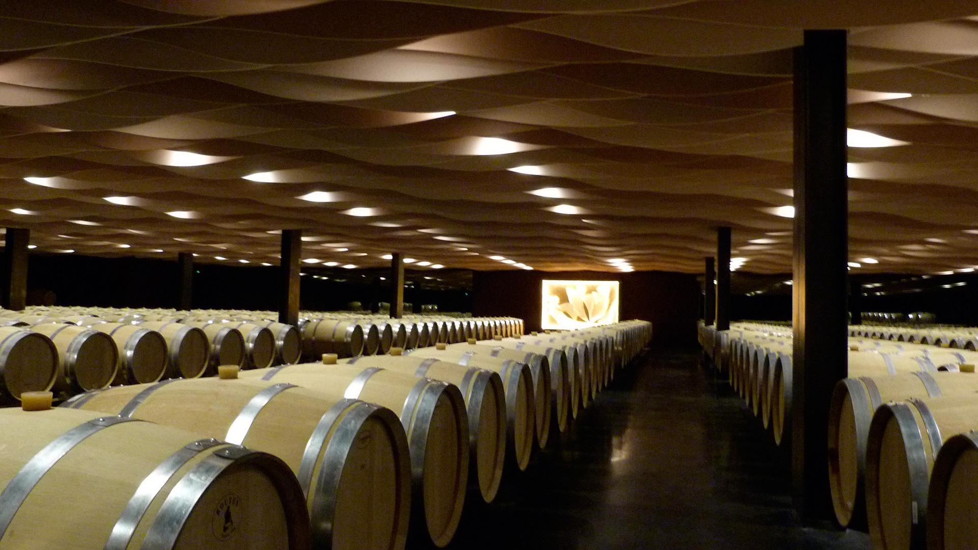 Barriques de vin - Foudre 