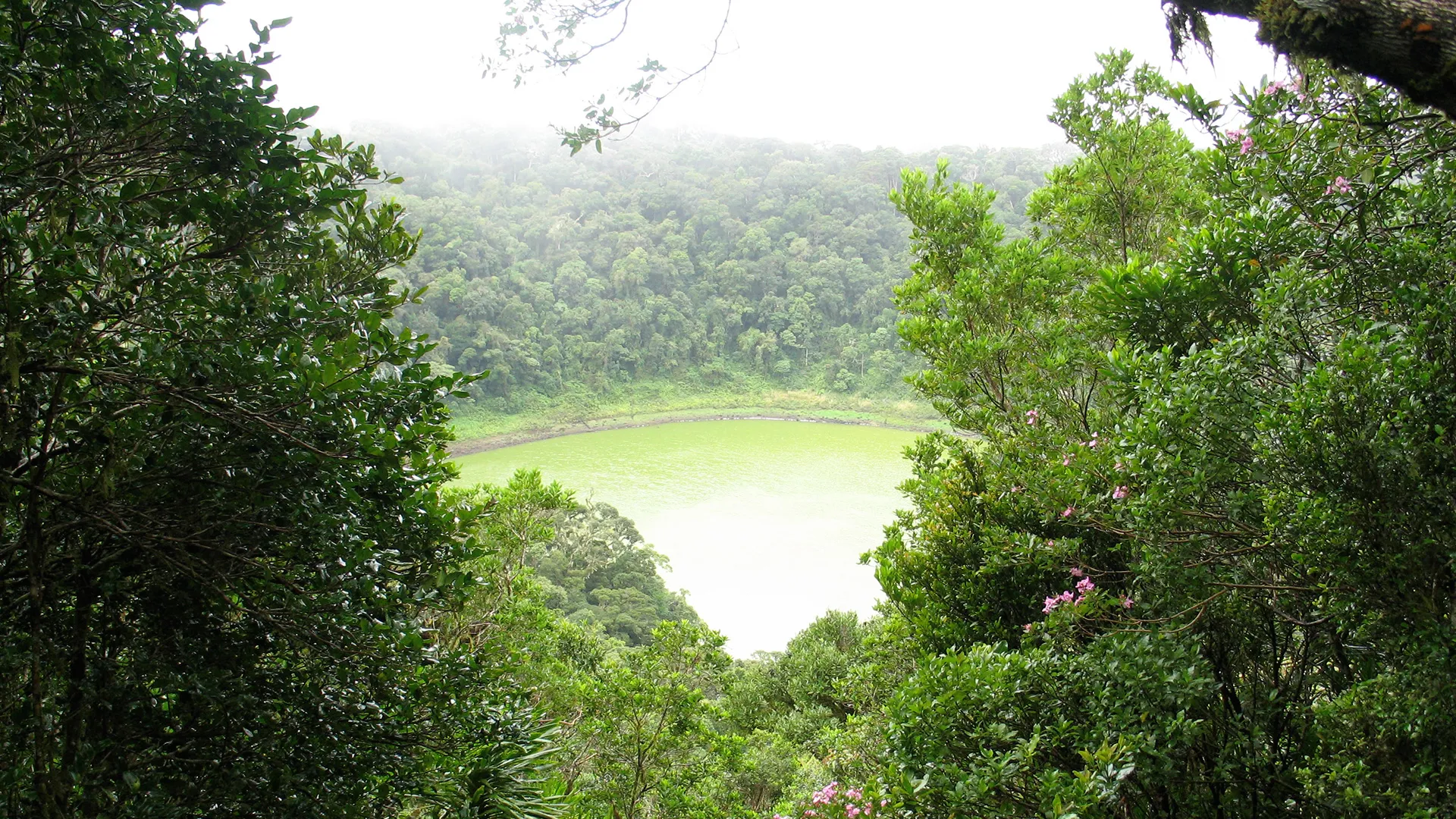 Forêt tropical et lac