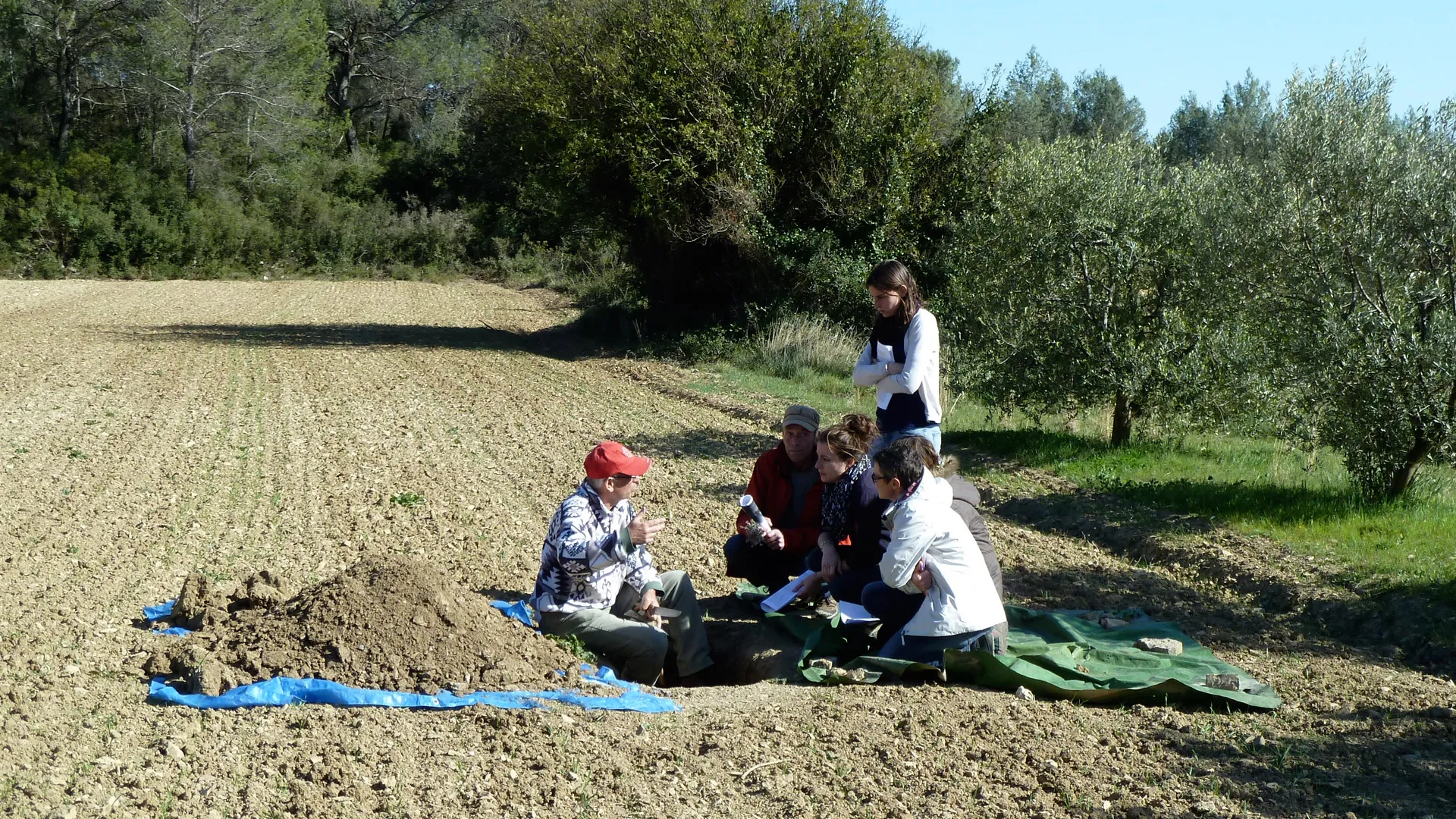 Observation des activités biologiques le long d’un profil de sol