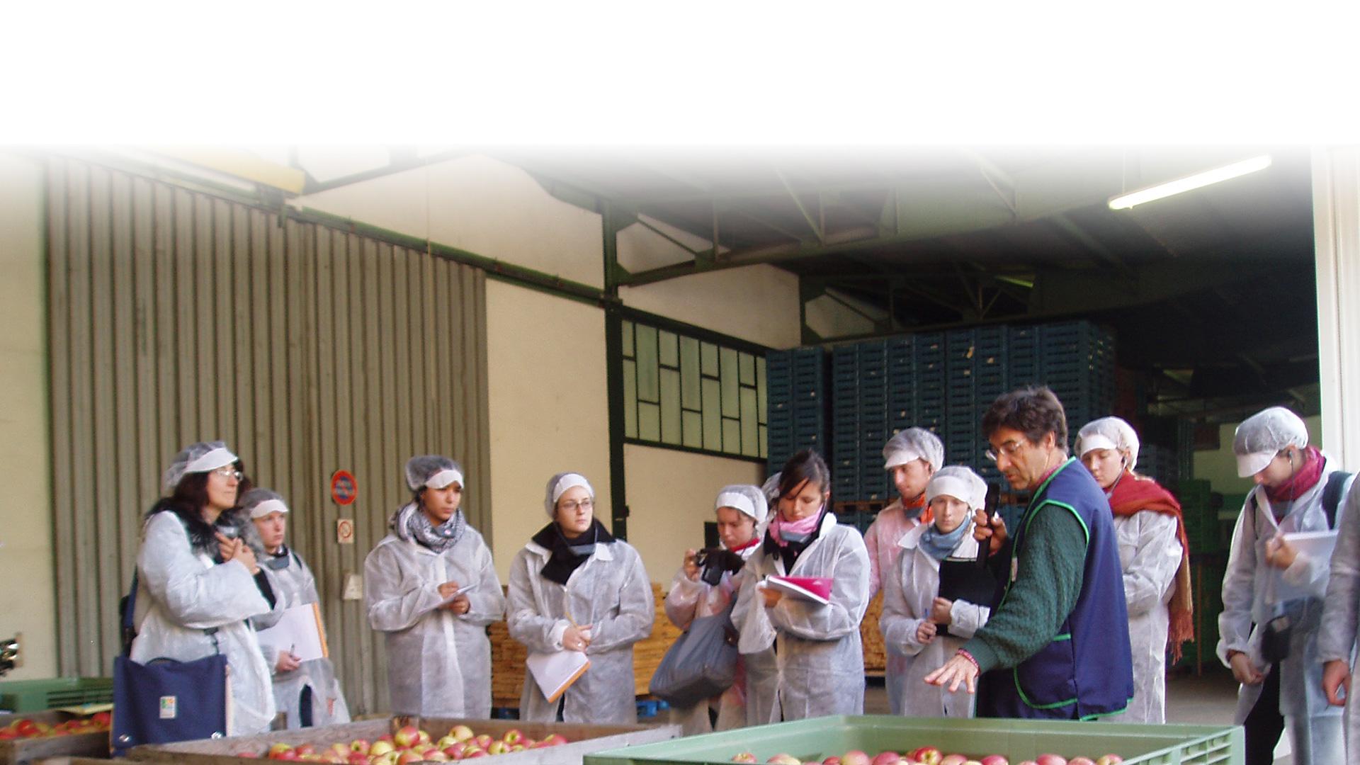 Etudiants en stage dans une entreprise agroalimentaire