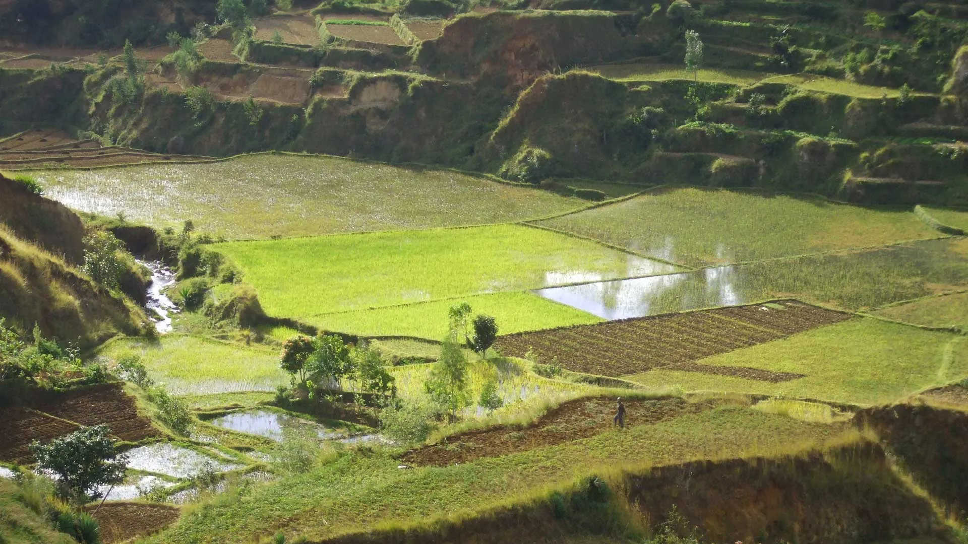 Master Eau et Agriculture