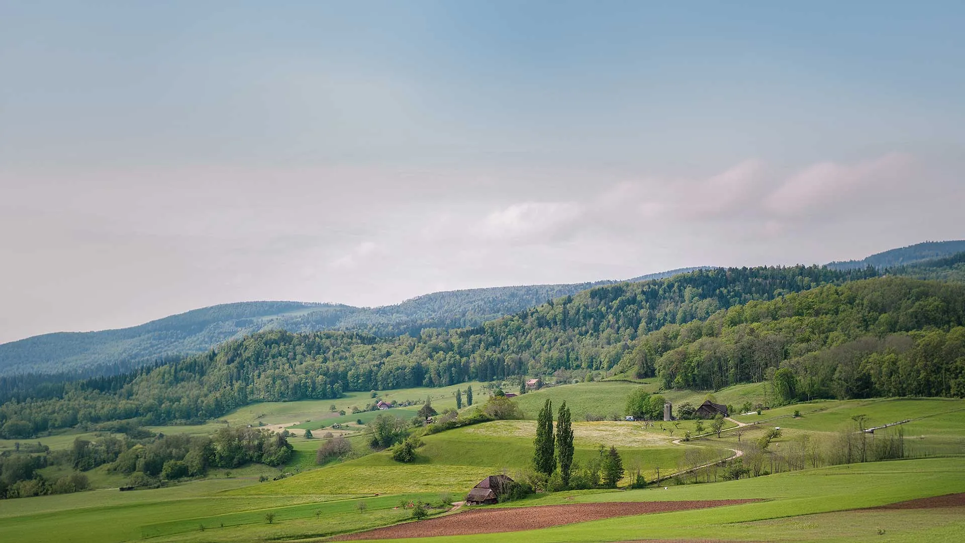 Transition agroécologique dans les territoires 