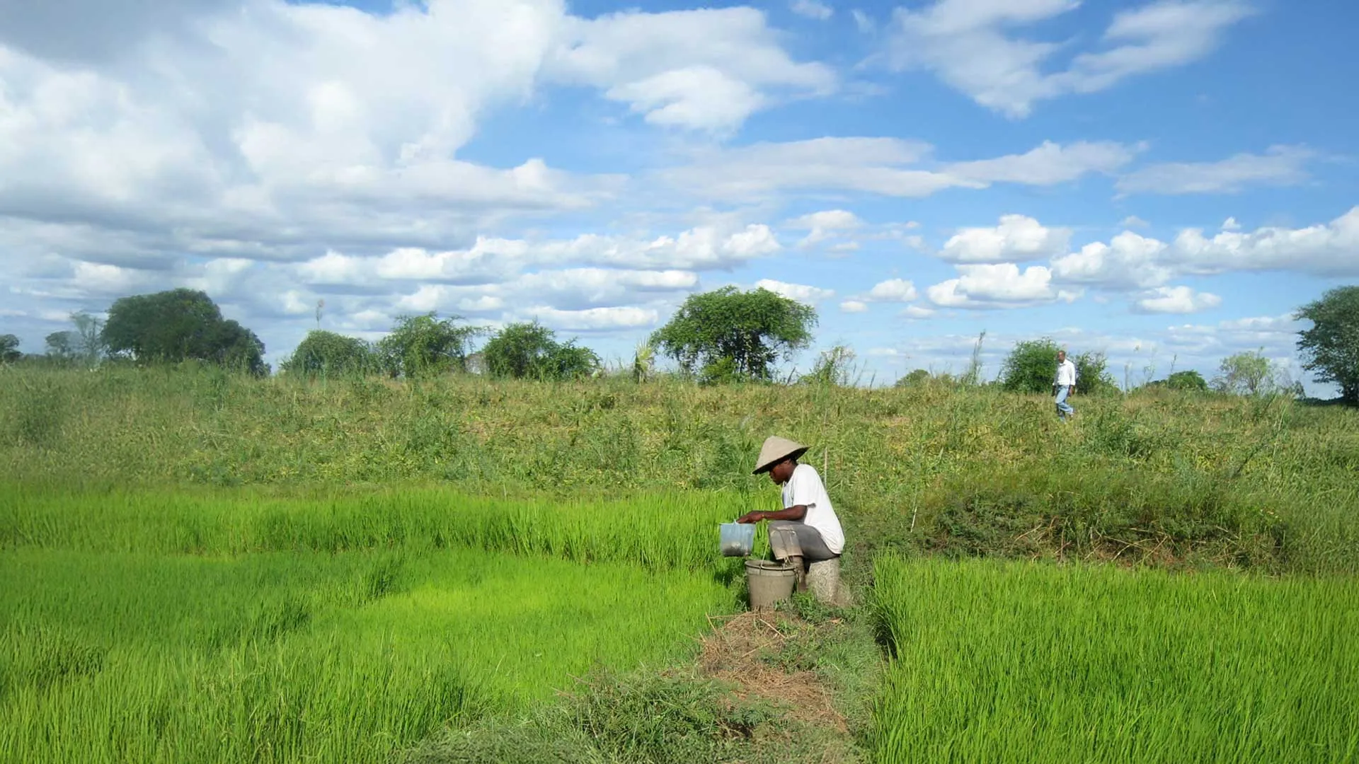 Agro-écosystèmes, intensification écologique et gestion des ressources naturelles 