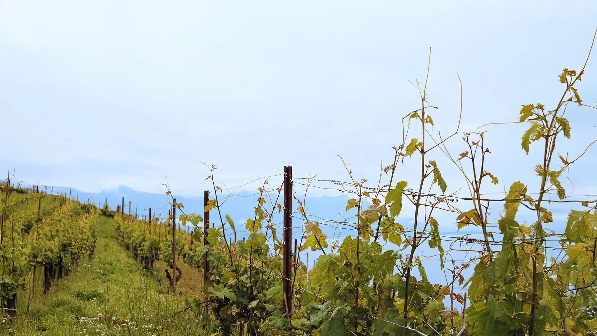 Règlementation, contractualisation agro-environnementale et législation sanitaire 