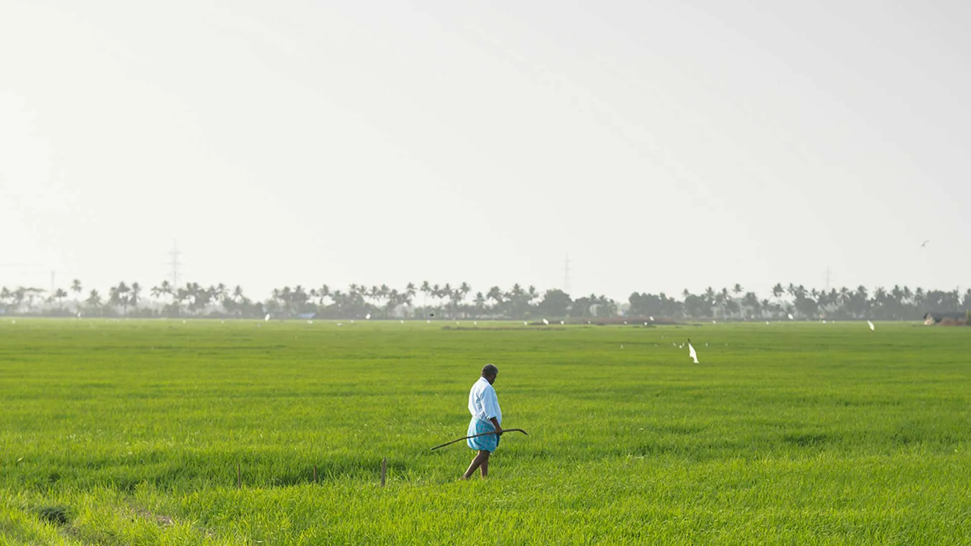   La 53ème édition des Inter’Agros s’est déroulée à Poussan du 29 mai au 1er juin 2025. Organisé par l’association Inter’Agros Montpellier 2025, cet événement sportif et festif a accueilli près de 2000 étudiants issus de 14 grandes écoles d’ingénieurs agronomes en provenance de toute la France. Ce rendez-vous majeur de la vie étudiante a été confié cette année aux montpelliérains qui ont relevé le défi avec brio pour piloter cette manifestation de grande ampleur et se sont surpassés en se hissant sur la 1èr