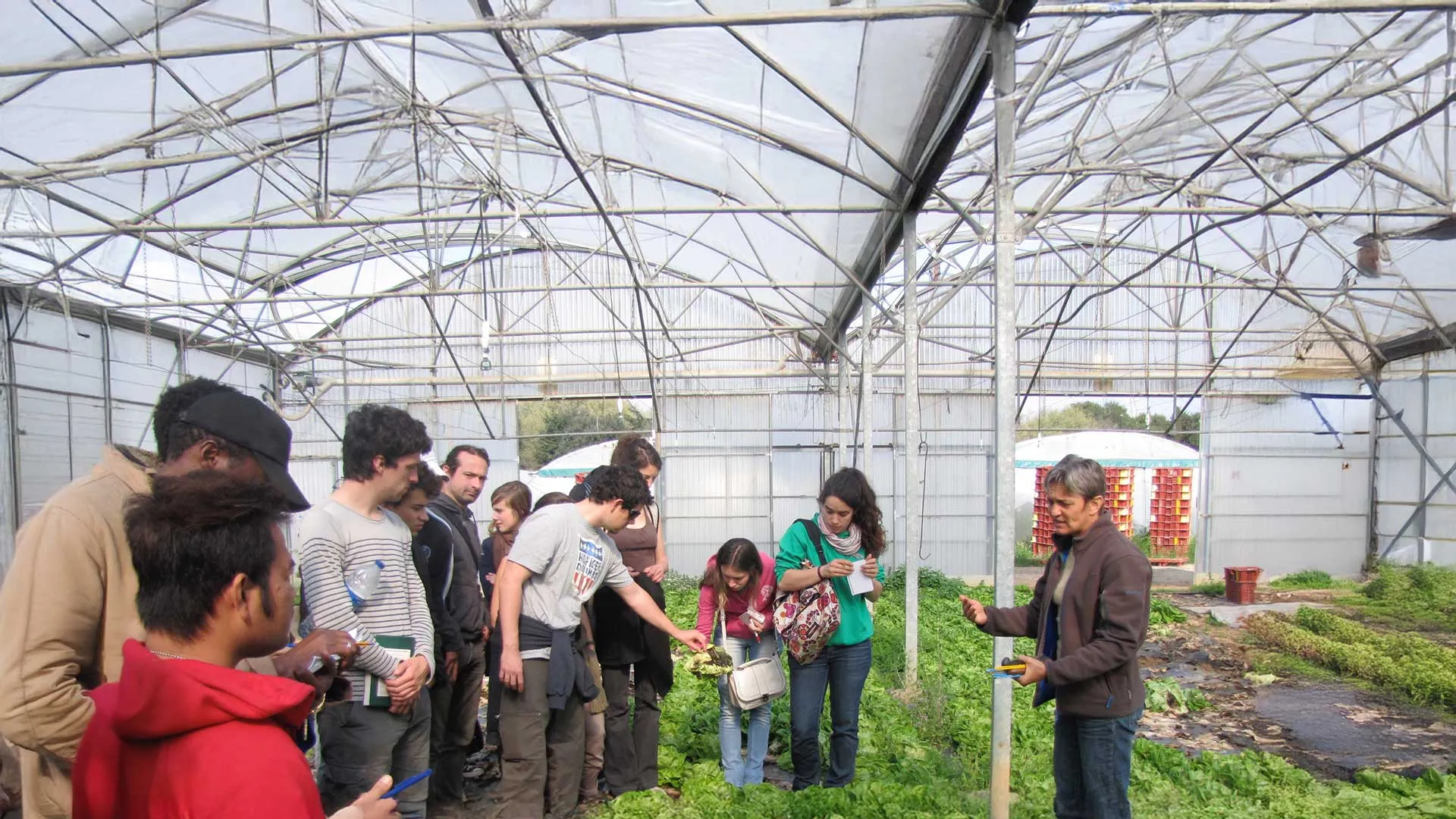 Visite de serre - Agroécologie