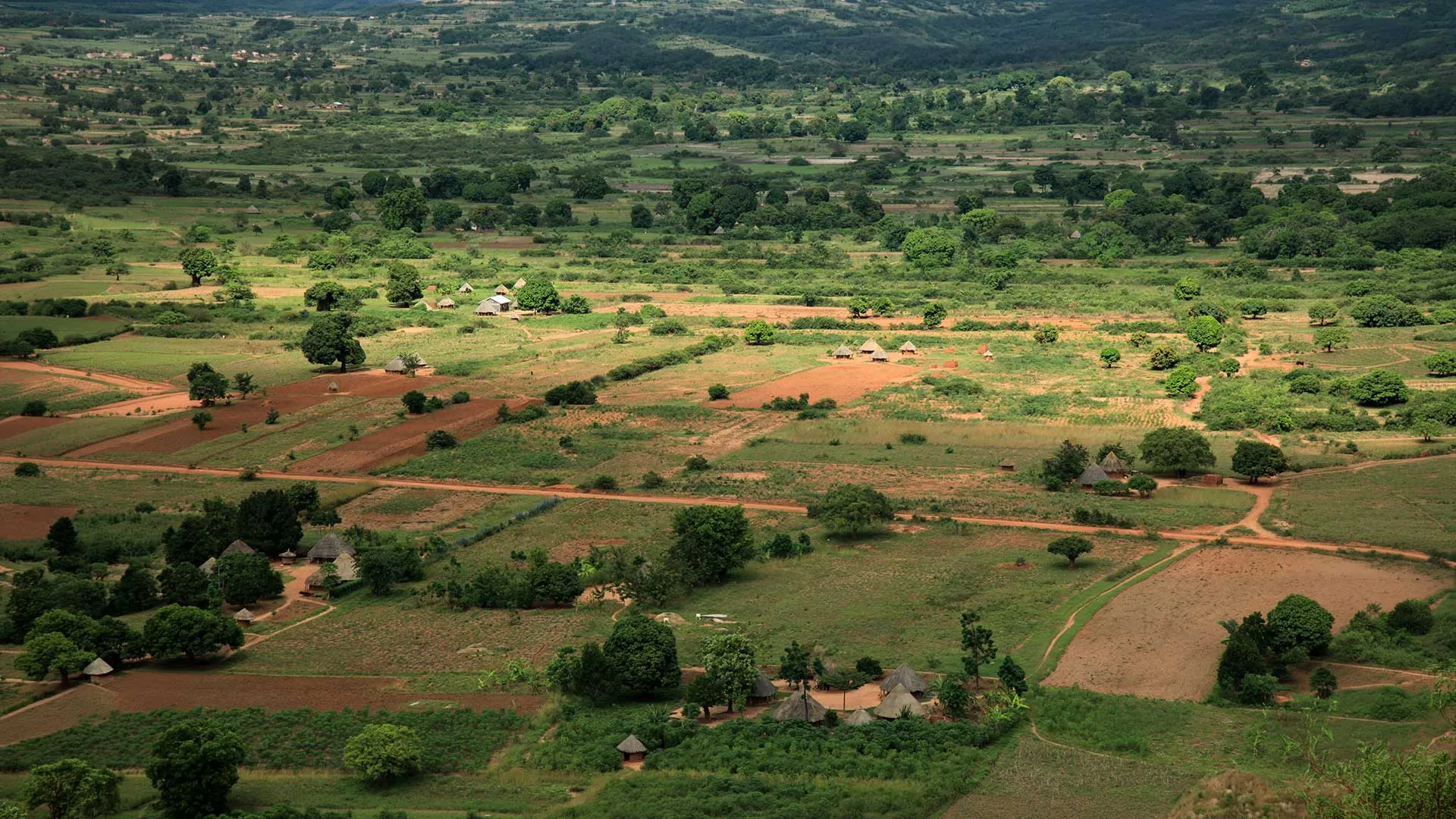 Introduction à la co–construction des services d’appui avec/pour les agricultures familiales - Envato