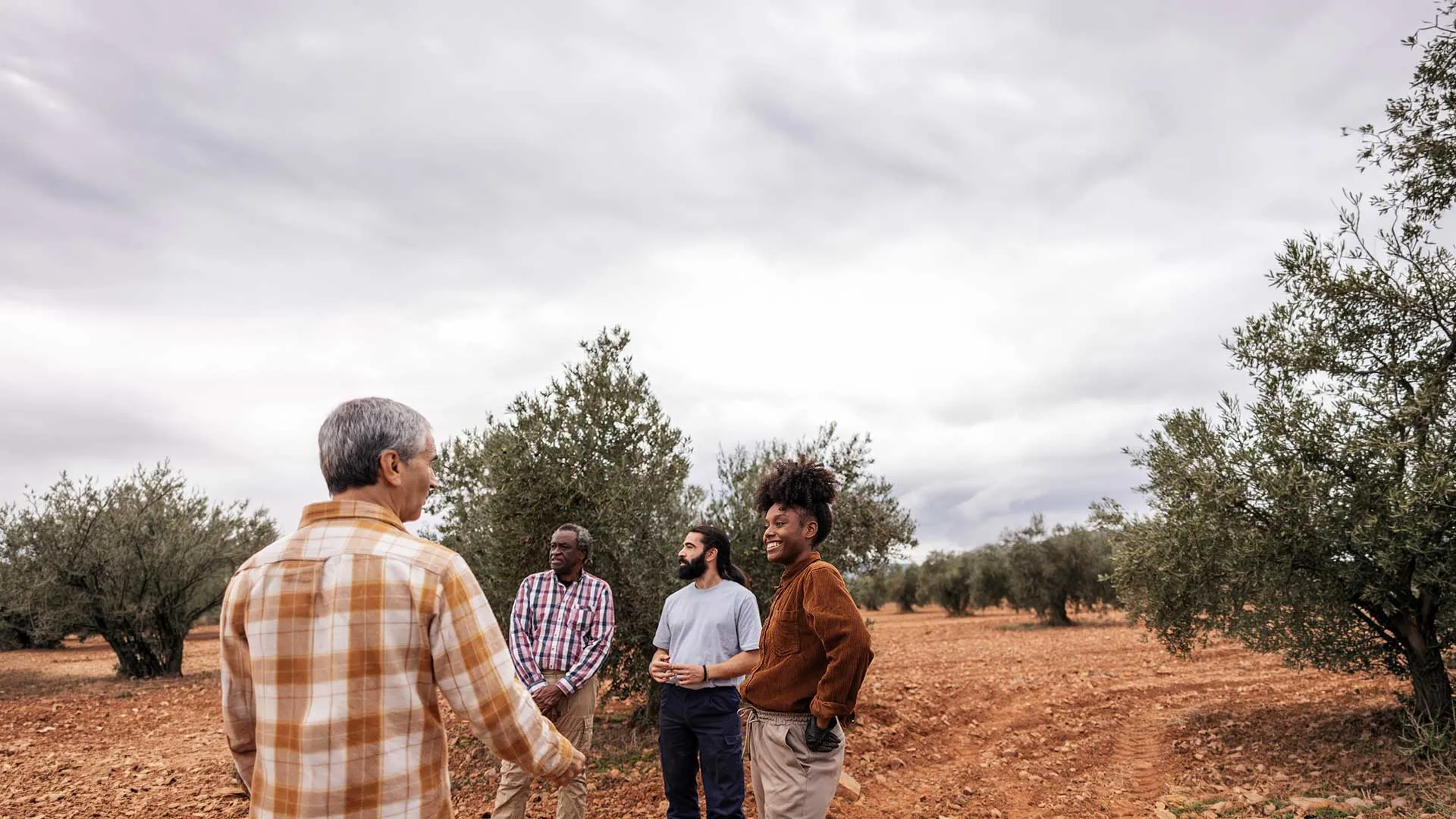 Co–construire des services d'appui avec/pour les agricultures familiales  - Envato