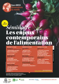 Chaire UNESCO - Séminaire de rentrée 2020
