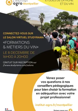Affiche salon studyrama VV