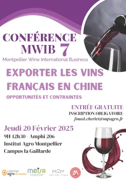 Affiche MWIB 7- 2025