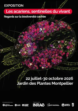 Exposition - Les acariens, sentinelles du sol