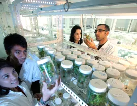 Sciences & Procédés des Agroressources pour l’Alimentation et l’Environnement