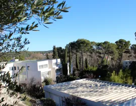 Campus de Lavalette vue depuis l'institut des régions chaudes