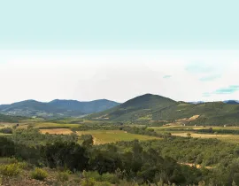 7.	Comprendre les enjeux de l’irrigation pour une gestion raisonnée des ressources