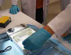 Les études doctorales