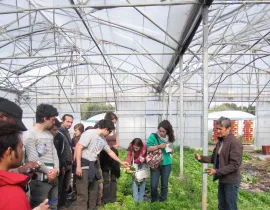 Visite de serre - Agroécologie