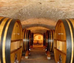 Foudre et tonneaux