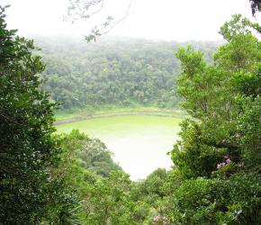 Forêt tropical et lac