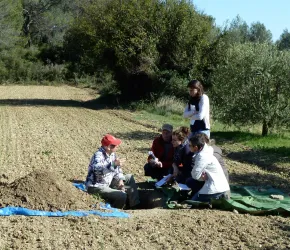 Observation des activités biologiques le long d’un profil de sol