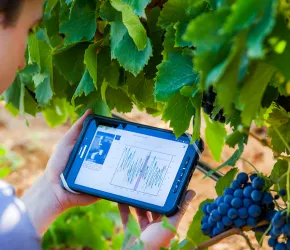 Ingénieur Agronome - Option AgroTIC