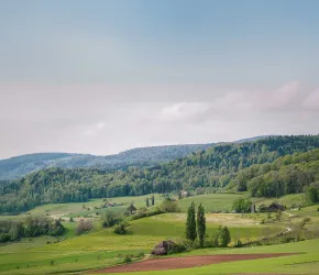 Transition agroécologique dans les territoires 