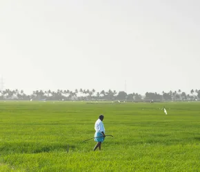   La 53ème édition des Inter’Agros s’est déroulée à Poussan du 29 mai au 1er juin 2025. Organisé par l’association Inter’Agros Montpellier 2025, cet événement sportif et festif a accueilli près de 2000 étudiants issus de 14 grandes écoles d’ingénieurs agronomes en provenance de toute la France. Ce rendez-vous majeur de la vie étudiante a été confié cette année aux montpelliérains qui ont relevé le défi avec brio pour piloter cette manifestation de grande ampleur et se sont surpassés en se hissant sur la 1èr