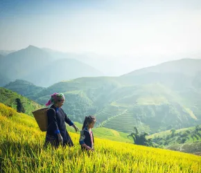Rizière et deux personnes au premier plan