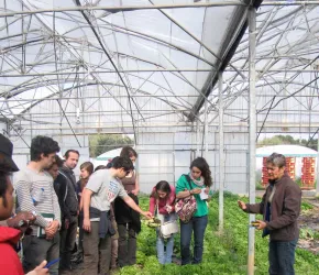Visite de serre - Agroécologie