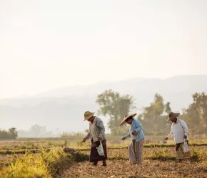 Accompagner l'implication des agricultures familiales dans les politiques publiques - ENVATO