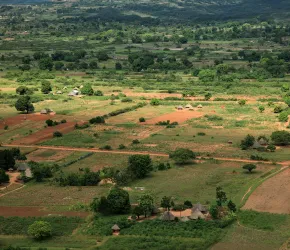 Introduction à la co–construction des services d’appui avec/pour les agricultures familiales - Envato