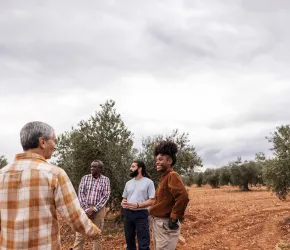 Co–construire des services d'appui avec/pour les agricultures familiales  - Envato