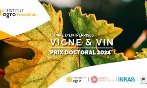 Prix doctoral 2024 vigne et vin