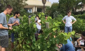 Etudiant·es de Vinifera Euromaster lors du TP "Adopte un cep" organisé  dans le vignoble pédagogique et expérimental "Pierre Galet" de l'Institut Agro Montpellier 