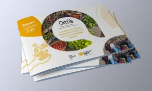 DEFIS - Rapport d'activités 2025
