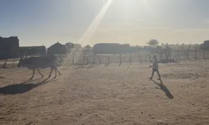 Camp d’éleveurs au Nord Sénégal (Richard-Toll)