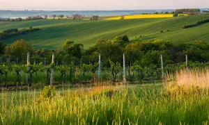 Paysages méditerranéens - ENVATO