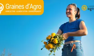 Concours Graines d'Agro 2026-2027 - Athénaïs Vanwaetermeulen lauréate 2024 : Projet “A portée de feuille”