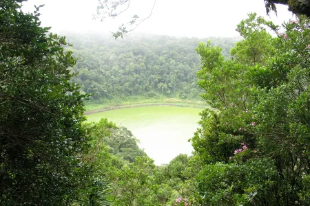 Forêt tropical et lac