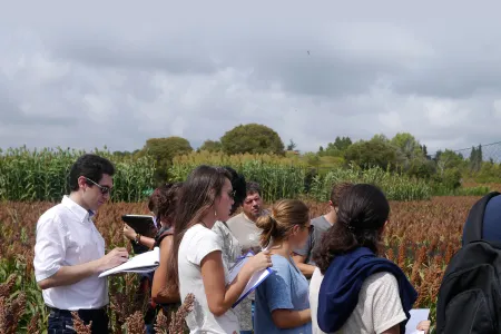 Visite de parcelles de sélection du sorgho