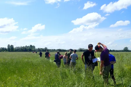 Prairies fleuries