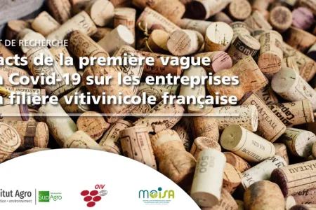 Impacts de la première vague de la Covid-19 sur les entreprises de la filière vitivinicole française