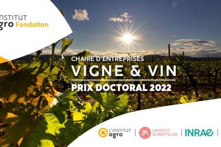 Prix Doctoral 2022 de la Chaire d’entreprises Vigne & Vin